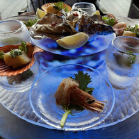 スミレオオサカ -  スミレオオサカ -