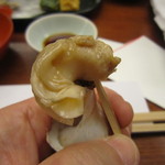 水たき玄海 - ばい貝の身