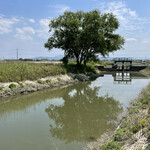 Tomimatsu Unagiya - お店の裏側にはこんなのどかな風景が