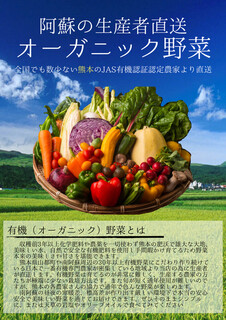 h Kumamoto Bokujou Chokuei Terashima Shouten - 有機野菜