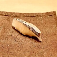 紀尾井町 三谷 - 