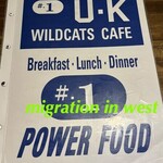 ユーケーワイルドキャッツカフェ - 