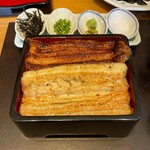 わたべ - 何回見ても美しい。