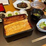 わたべ - 本日のわくわく一覧