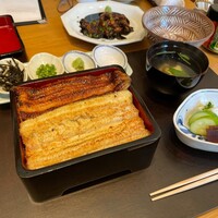 わたべ - 本日のわくわく一覧