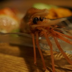 煮込みと惣菜 かん乃 - ボタンエビちゃん