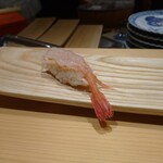 Tennen honmaguro ariso zushi - この 前に 白身 と コハダ    甘えび