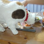 Enjoy Agano - 惣菜を買って家で食べてみた