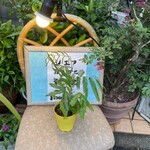 ラ・ブランシュ - 