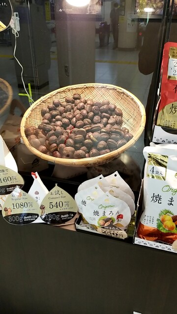 Hisaya Iwamotochoten photo 3