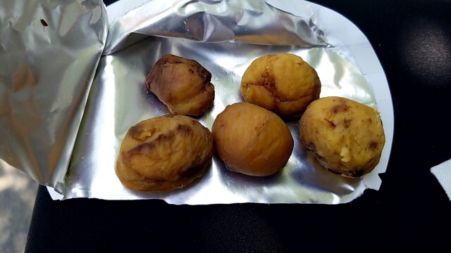 Hisaya Iwamotochoten