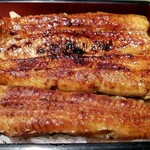 Unagi Fujita - 