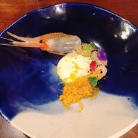 セルサルサーレ - 