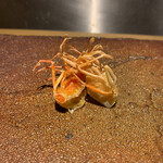 天ぷらあら木 - 