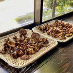 たでの葉 - 店内で木の子を干してました♪