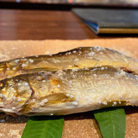 たでの葉 - 鮎塩焼き
                    熊本県は川辺川の天然鮎、炭火でじっくりと焼かれた鮎は頭の先から尾っぽまでなんら違和感なく美味しく食べれます！
                    やはり遠赤外線の効果は絶大です！