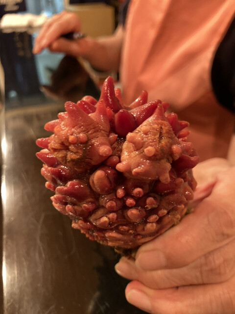 呑み喰い処 からり - 本八戸（居酒屋）の写真