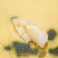 日本料理 山里 - 