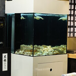 鮨 赤酢 あらまさ - 