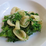 ヴィラ・アイーダ - オレキエッテ　チーマディラパ　大根菜花