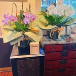 三栗 - 10周年の蘭