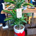 おうどん 瀬戸晴れ - 