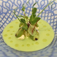 クイントカント - 