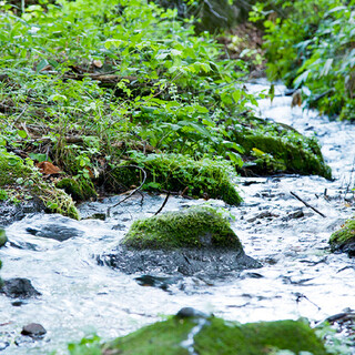 The magnificent nature of Yatsugatake