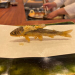 旬彩天 つちや - 