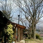 大きなシンボルツリーと古民家トラットリア