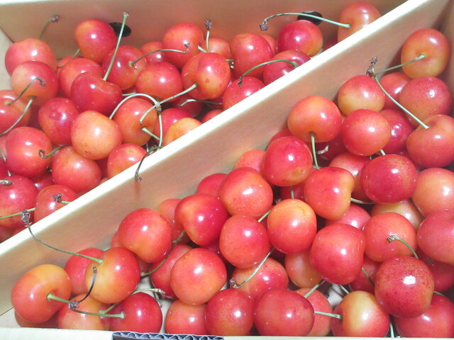 あいば商店（秋田）｜地元食材の味を楽しむ市場型レストラン