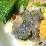 鮮魚・お食事処 山正 - お通しの生シラスをご飯にのせてみた