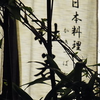 杜若 - 