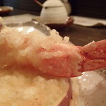 虎智庵 - 天麩羅