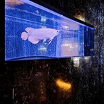 焼肉 拍手喝采 - 