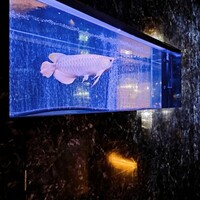 焼肉 拍手喝采 - 