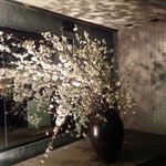 龢 - H25.03②　店前の【桜】