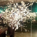 龢 - H25.03②　店内からの【桜】