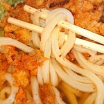 さぬきうどん - 天ぷらうどん