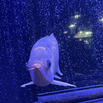 焼肉 拍手喝采 - 