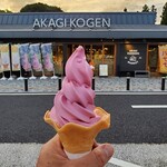 赤城高原サービスエリア（上り線) アカギ ファーマーズ マーケット - ブルーベリーソフト
