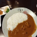 百番目のサル - インド風チキンカレー