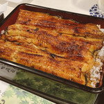 Unagi Idumi - 