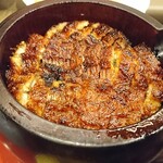 Unagi Washoku Shirakawa - 