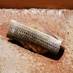 匠 進吾 - コハダ