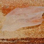 匠 進吾 - 明石のマコガレイ、見づらくて申し訳ない