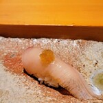 匠 進吾 - シマアジ