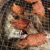 炭火焼肉 やまもと