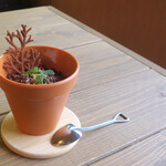 MaSiLo cafe - 映えるティラミス。