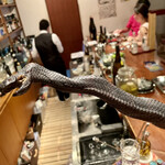 泡盛倉庫 - イラブーね！